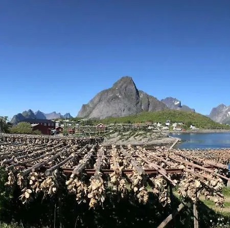 Fishermans Lofoten *