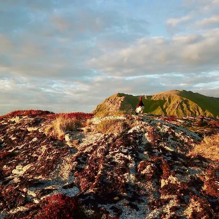 Fishermans Lofoten 公寓 *